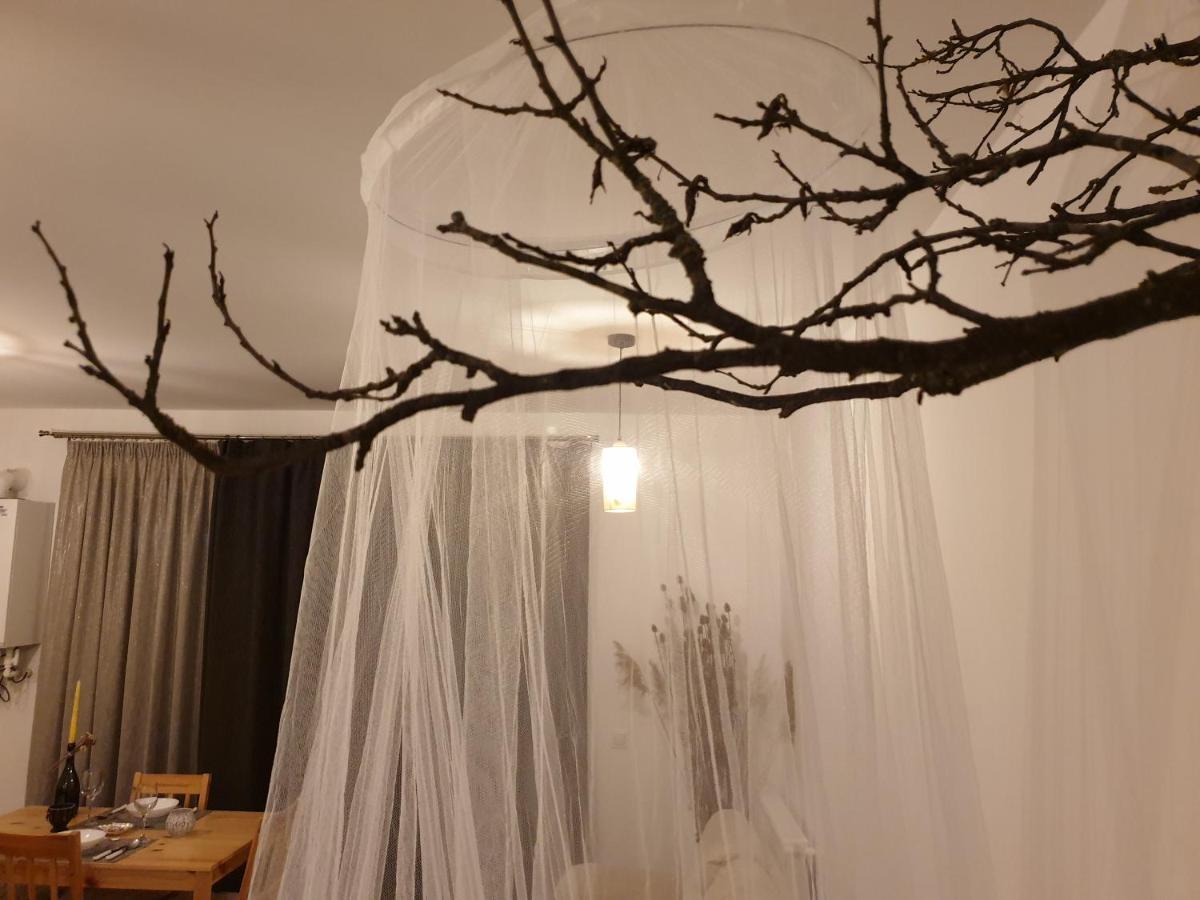 Iris Apartment